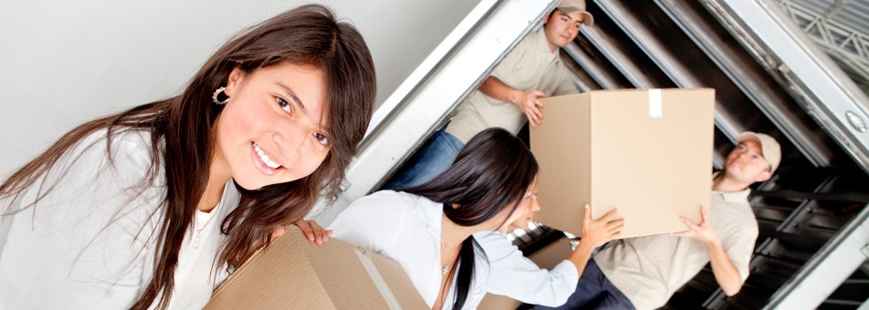 Professional Removalists Cooroy